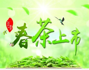 春茶上市海报源文件素材